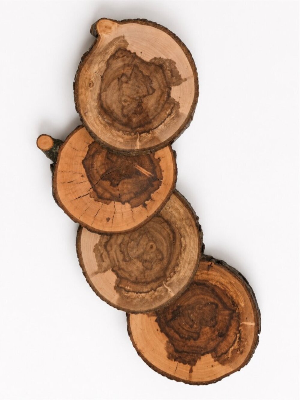 Natural Wood Slice Coaster Set of 4 with Bark Edge – Rustic Tree Round Coasters